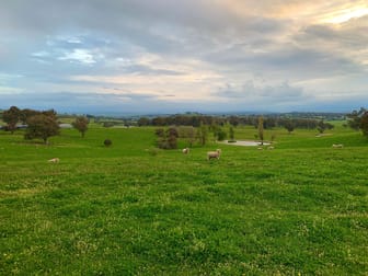 553 Coolalie Road Yass NSW 2582 - Image 3
