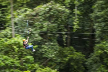 Cape Tribulation QLD 4873 - Image 1