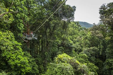 Cape Tribulation QLD 4873 - Image 3