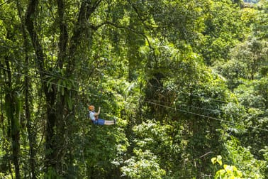 Cape Tribulation QLD 4873 - Image 2