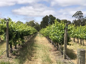 Mclaren Vale SA 5171 - Image 1