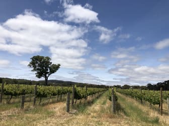 Mclaren Vale SA 5171 - Image 2