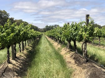 Mclaren Vale SA 5171 - Image 3