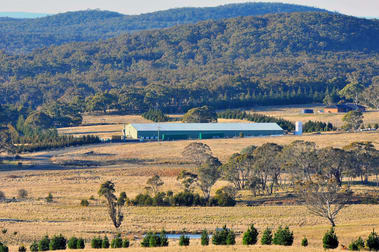 422 Tiyces Lane Boxers Creek NSW 2580 - Image 2