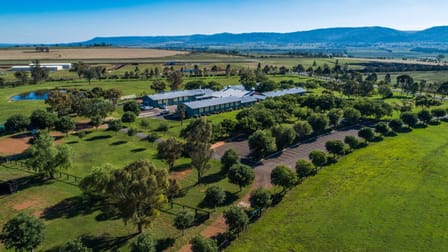 2 Flemington Drive Scone NSW 2337 - Image 1