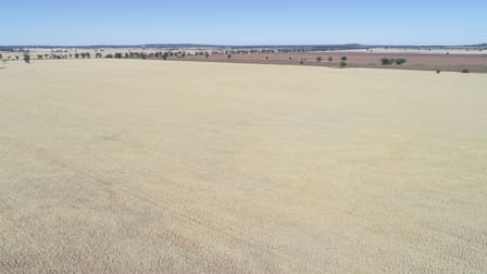 548 Cunningtons Lane West Wyalong NSW 2671 - Image 1