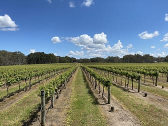 Karingal Vineyard 67 East Settlement Road Wrattonbully SA 5271 - Image 1