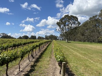 Karingal Vineyard 67 East Settlement Road Wrattonbully SA 5271 - Image 2
