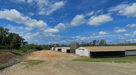 Arriga QLD 4880 - Image 3