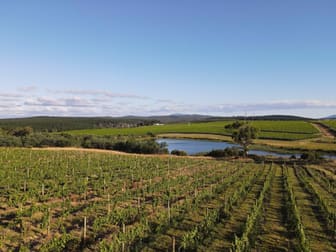 Evandale Vineyard and Pipers River Vineyard Evandale Road Evandale TAS 7212 - Image 1