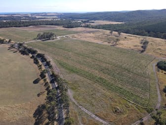 Evandale Vineyard and Pipers River Vineyard Evandale Road Evandale TAS 7212 - Image 3