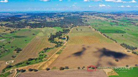 112 Thirteen Mile Reserve Road Maxwell NSW 2650 - Image 1