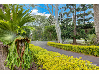932 Maleny-Montville Road Balmoral Ridge QLD 4552 - Image 3
