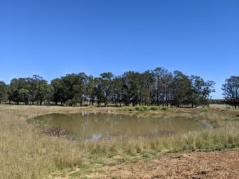 1683 Beebo Seventeen Mile Road Beebo QLD 4385 - Image 3