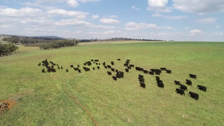 437 South Bowan Park Road Cargo NSW 2800 - Image 2