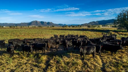 Bylong NSW 2849 - Image 2