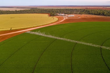 Lachlan River Road Hillston NSW 2675 - Image 1