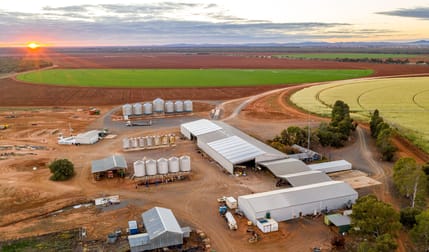 Lachlan River Road Hillston NSW 2675 - Image 2