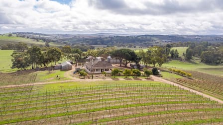 130 Heinze Road Seppeltsfield SA 5355 - Image 2