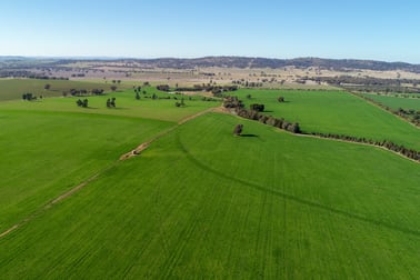 226 Cloughs Road Wagga Wagga NSW 2650 - Image 3