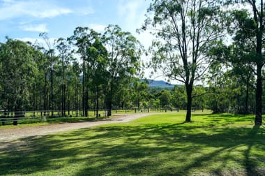 355E Redmanvale Road Jerrys Plains NSW 2330 - Image 3