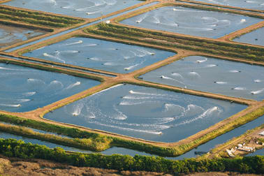 Alva QLD 4807 - Image 2