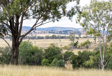 Gayndah Cattle Country/232 Pile Gully Road Pile Gully QLD 4625 - Image 1