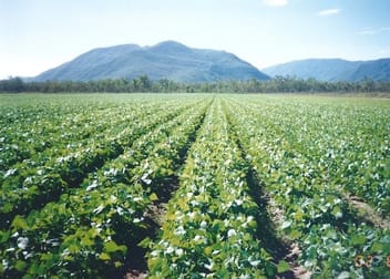 Lot 6 & 7 Webb Road Majors Creek QLD 4816 - Image 2