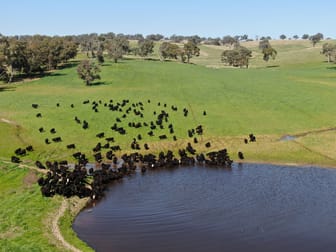 897 Murringo Flats Road Murringo NSW 2586 - Image 1