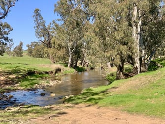 897 Murringo Flats Road Murringo NSW 2586 - Image 3