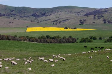 1892 Captains Flat Road Primrose Valley NSW 2621 - Image 3