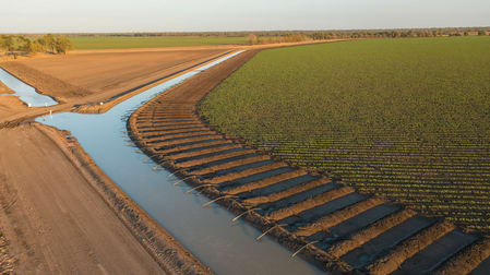 0 Cowal Agriculture Portfolio Emerald QLD 4720 - Image 2