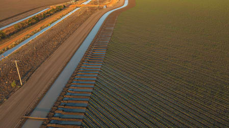 0 Cowal Agriculture Portfolio Emerald QLD 4720 - Image 3