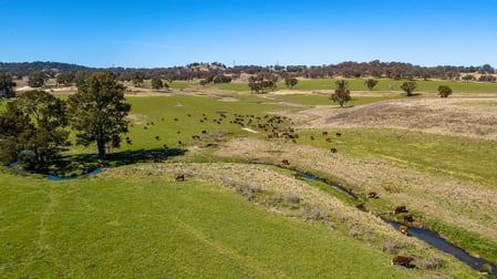 Paradise Creek Elsmore Road Inverell NSW 2360 - Image 1