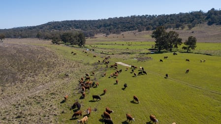 Paradise Creek Elsmore Road Inverell NSW 2360 - Image 2