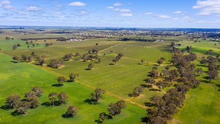 Lot 10 McLean Road Coonawarra SA 5263 - Image 1