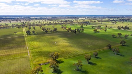 Lot 10 McLean Road Coonawarra SA 5263 - Image 2