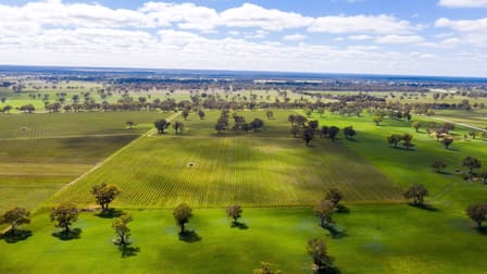 Lot 10 McLean Road Coonawarra SA 5263 - Image 3