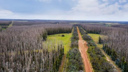 1654 Church Road Gosse SA 5223 - Image 1