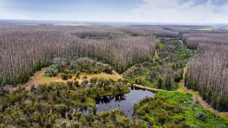 1654 Church Road Gosse SA 5223 - Image 3