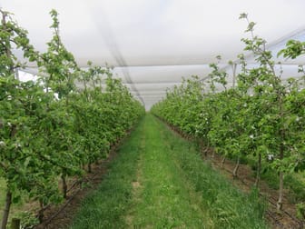 Manjimup WA 6258 - Image 1