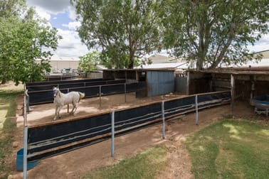70 - 74 Showground Road Tamworth NSW 2340 - Image 3