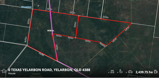 Lot 24 & 25 Texas Yelarbon Road Glenarbon QLD 4385 - Image 1