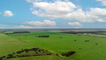 2293 Mallee Highway Sherlock SA 5301 - Image 1