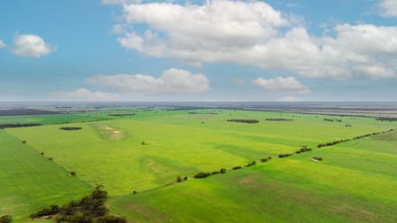 2293 Mallee Highway Sherlock SA 5301 - Image 2