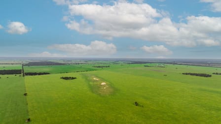 2293 Mallee Highway Sherlock SA 5301 - Image 3