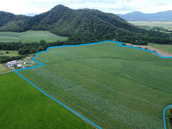 Lot 13 Mohammed Access Mount Peter QLD 4869 - Image 3