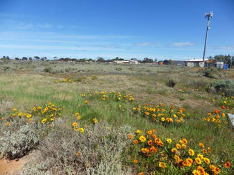 LOT 5 CROWHURST STREET Whyalla Norrie SA 5608 - Image 2