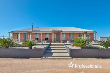 891 Irymple Avenue Irymple VIC 3498 - Image 2