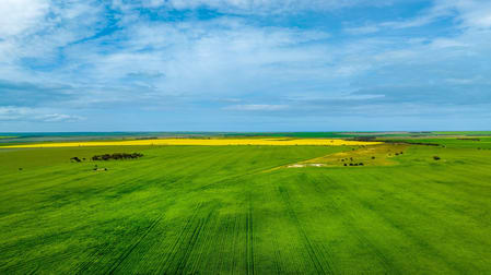 1148 Wharminda Road Port Neill SA 5604 - Image 1